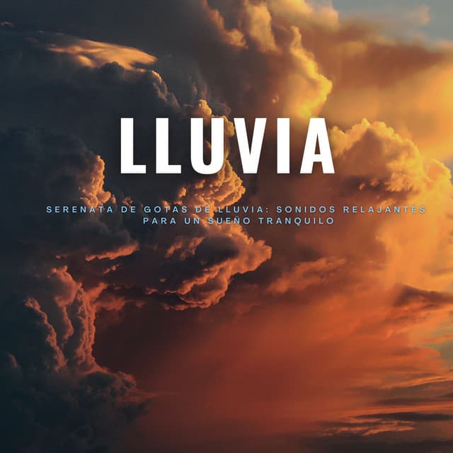 Serenata De Gotas De Lluvia: Sonidos Relajantes Para Un Sueño Tranquilo - Los principales expertos en lluvia para el sueño profundo