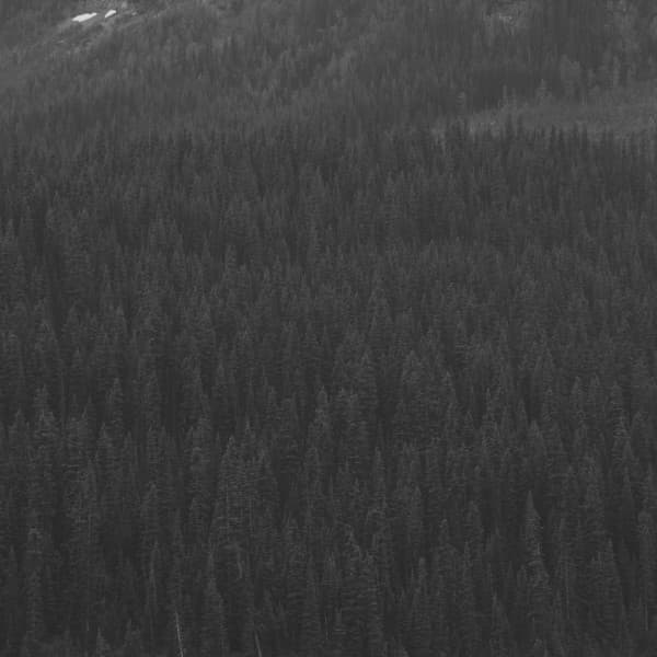 Echoes of Unique Thoughts - Cafe Jazz Coffee House