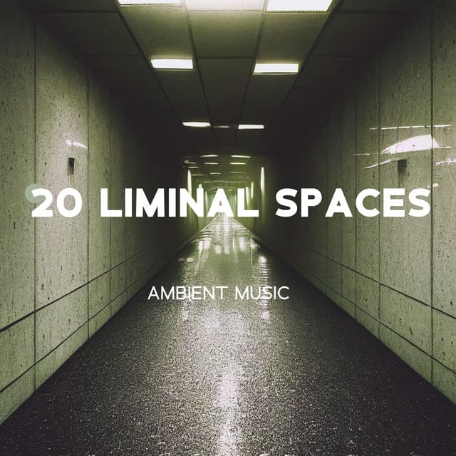 20 Liminal Spaces Ambient Music: Ambiance Atmospheres and Unnerving Music for Backrooms - Office Music Experts