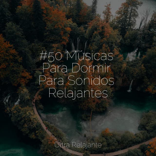 #50 Músicas Para Dormir Para Sonidos Relajantes - Massagem Coleção de Músicas