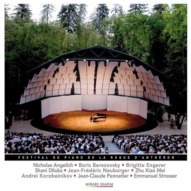 Festival international la roque d'anthéron 2008 - Boris Berezovsky