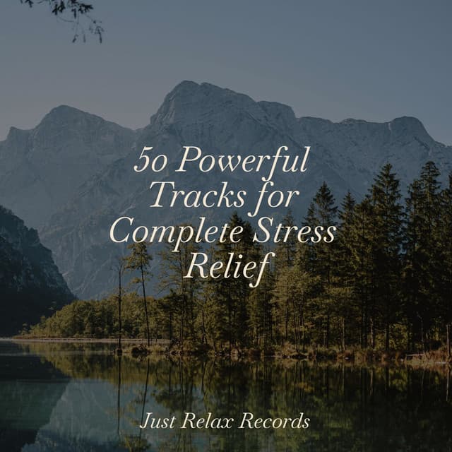 50 Powerful Tracks for Complete Stress Relief - Lucid Dreaming World-Collective Unconscious Mind