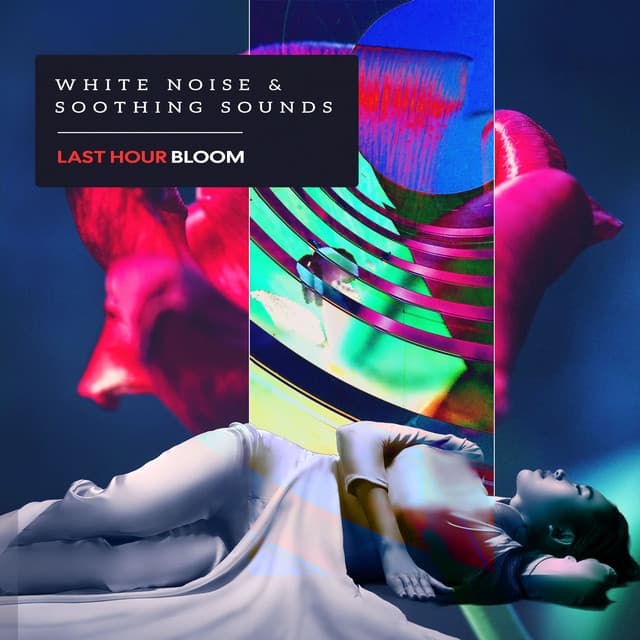White Noise & Soothing Sounds - Last Hour Bloom
