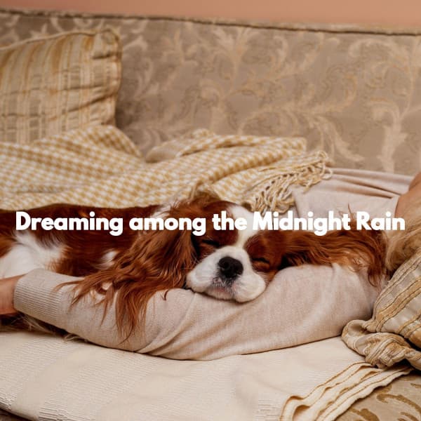 Dreaming among the Midnight Rain - Trabajar desde Casa Clásicos