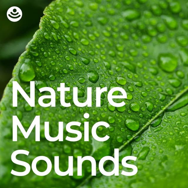 Yoga Nature Sounds