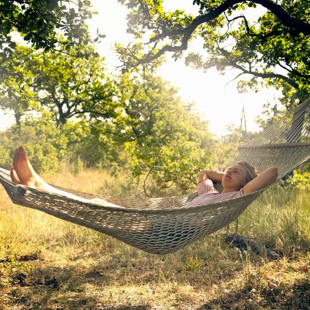 Piano Rain Melodies: Serene Relaxation Vibes - Mellow Melodies