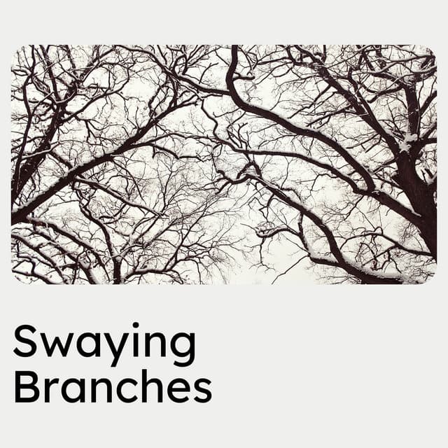 Swaying Branches - Nature Ambience
