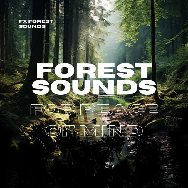 Forest Sounds for Peace of Mind - FX Forest Sounds