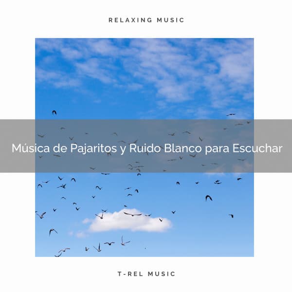 Música de Pajaritos y Ruido Blanco para Escuchar - Ruido Para Bebé