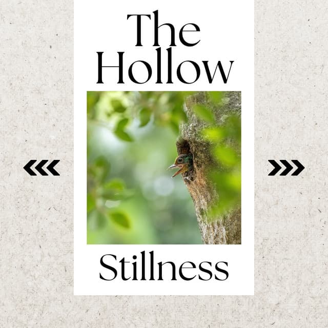 The Hollow Stillness - Ombrafonia