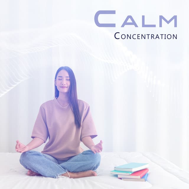 Calm Concentration: Ambience for Focus - Ambient 11