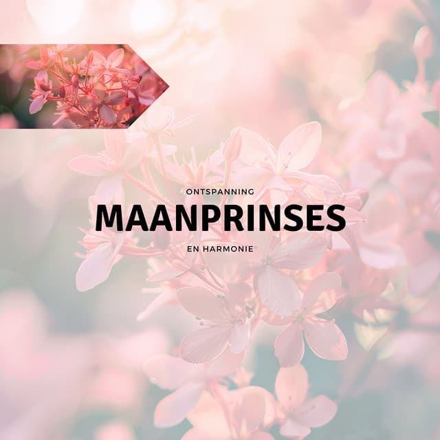 Maanprinses - Ontspanning en Harmonie