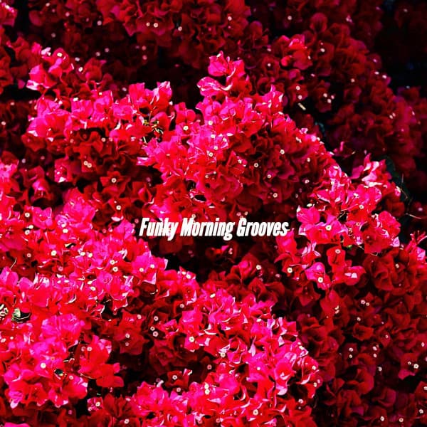 Lounge Jazz Bar Deluxe