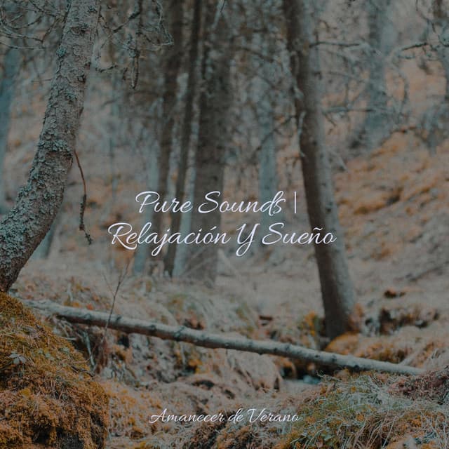 Pure Sounds | Relajación Y Sueño - Academia de Música con Sonidos de la Naturaleza