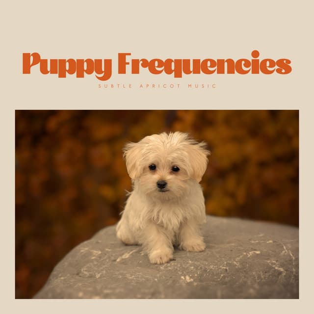 Puppy Frequencies - Calming Music For Pets