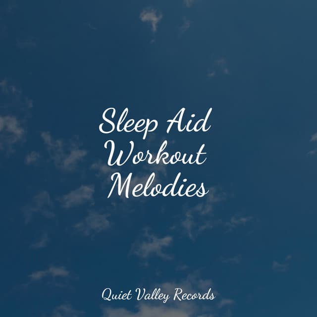 Sleep Aid Workout Melodies - Nature Sounds Nature Music