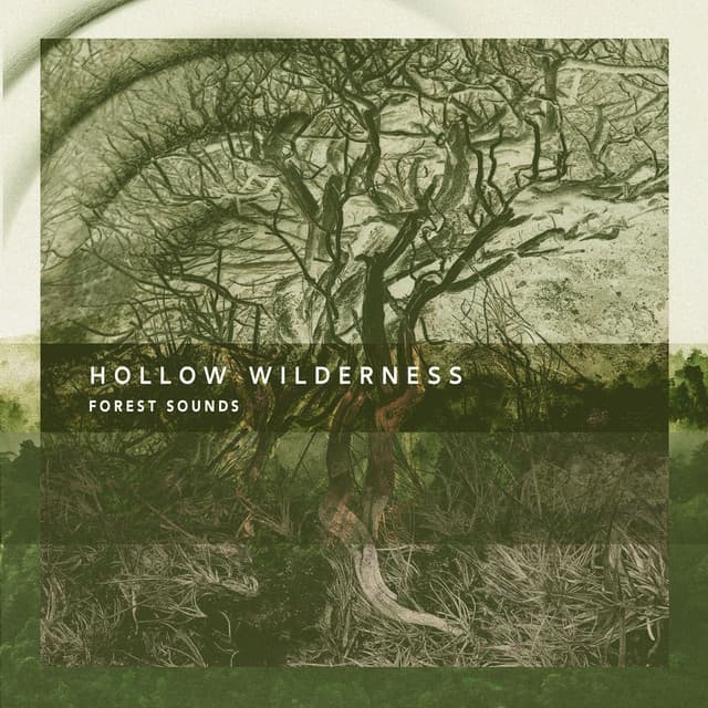 Hollow Wilderness - Forest Sounds