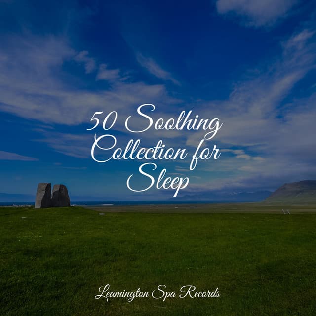 50 Soothing Collection for Sleep - Exam Study Classical Music Orchestra