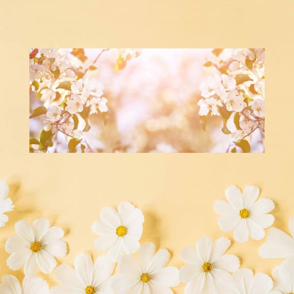 Bgm for Study and Summers - Rainy Day Music Classics