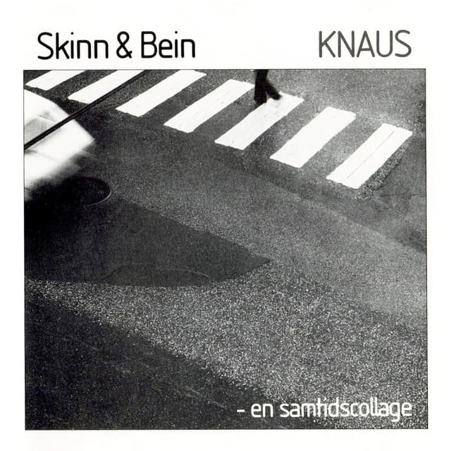 Skinn & Bein