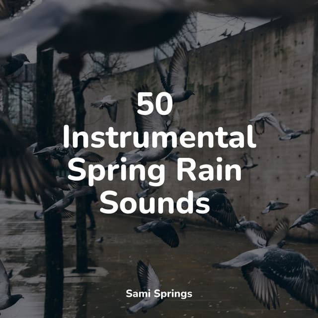 50 Instrumental Spring Rain Sounds - Relaxation Sleep Meditation