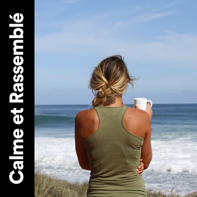 Calme et Rassemblé - Bruit Brun