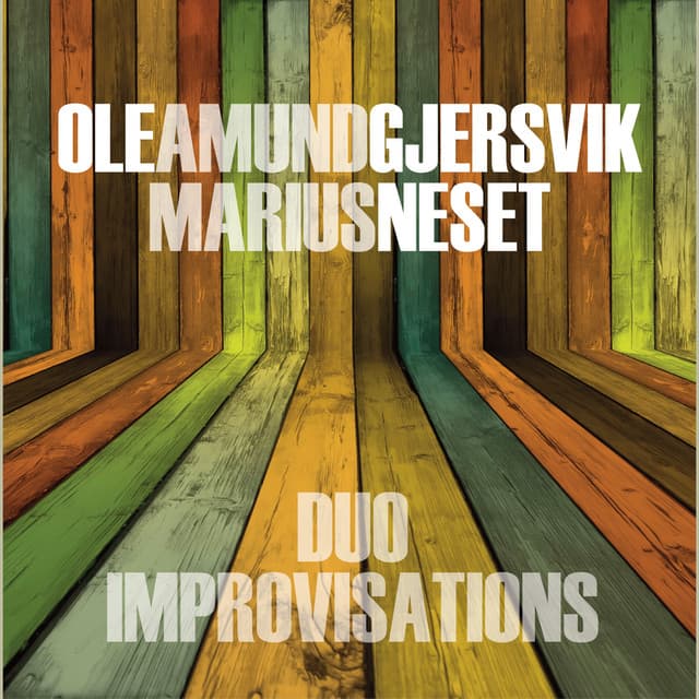 Duo Improvisations - Ole Amund Gjersvik