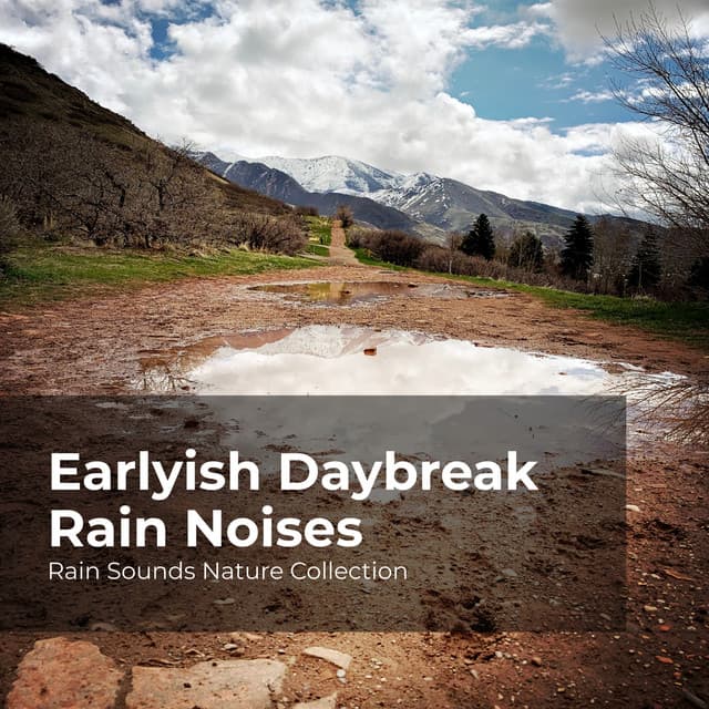 Earlyish Daybreak Rain Noises - Rain Sounds Nature Collection