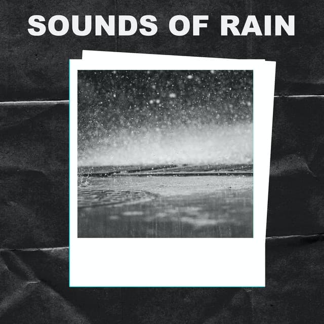 Sounds of Rain - Sounds of Rain