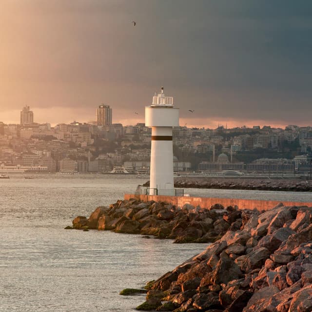 180 Wild: Safe Inner Space - Nature Sound Collection