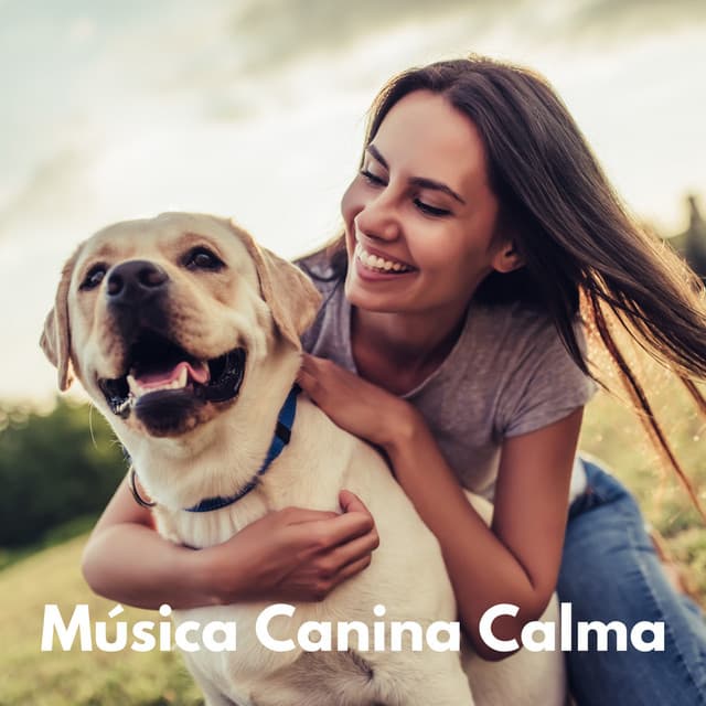 Música Canina Calma - Música Para Cães Adormecidos