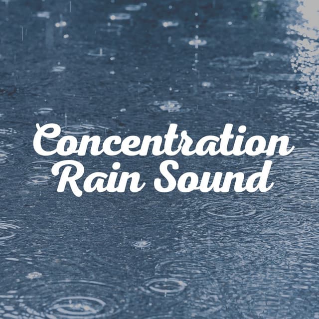 Concentration Rain Sound - Rain Lullaby