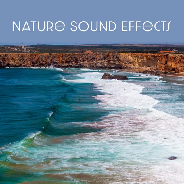 Nature Sound Effects - Sound Effects Music Set