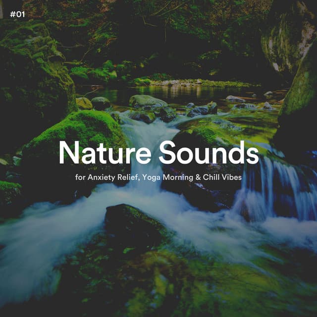 #01 Nature Sounds for Anxiety Relief, Yoga Morning & Chill Vibes - The Nature Soundscapes