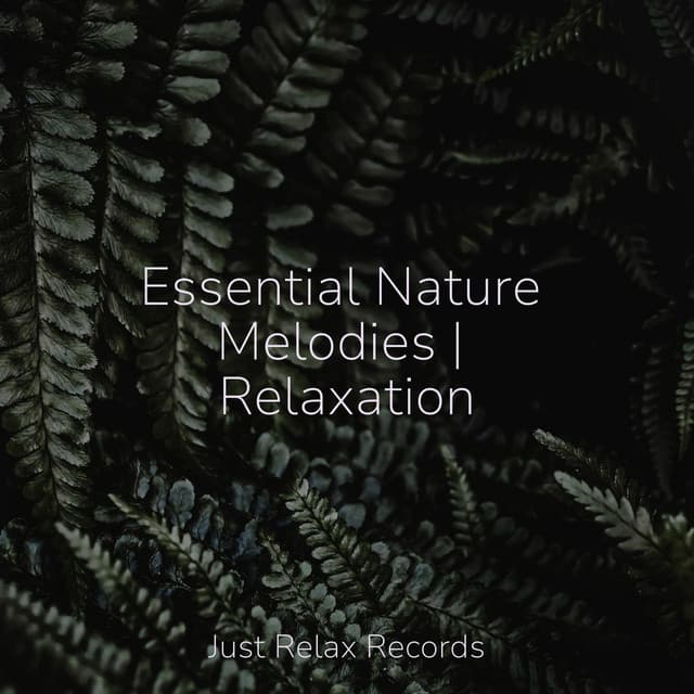 Essential Nature Melodies | Relaxation - Rest & Relax Nature Sounds Artists
