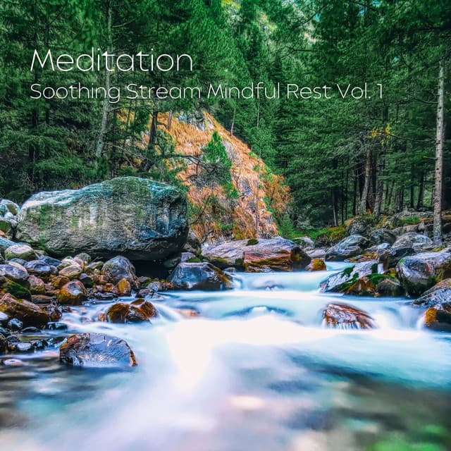 Meditation: Soothing Stream Mindful Rest Vol. 1 - Spa Music & Sounds