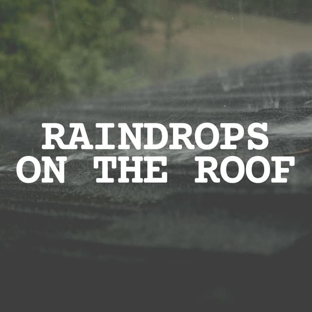 Raindrops on the Roof - The Rain Factory