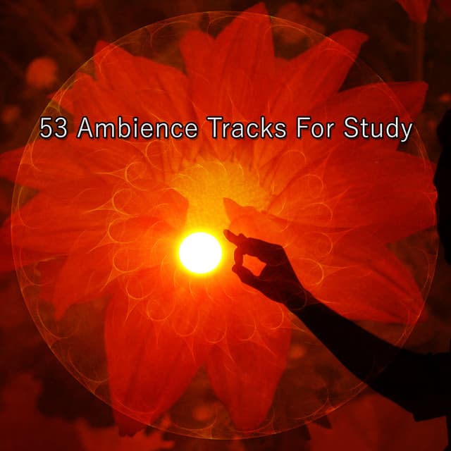 53 Ambience Tracks For Study - Meditation Group