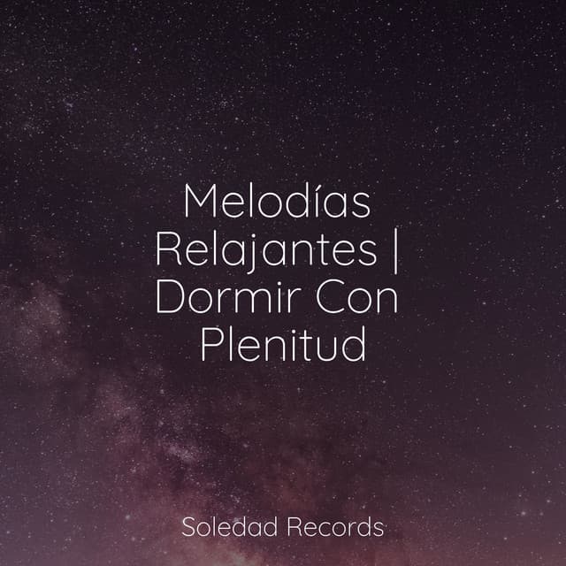 Melodías Relajantes | Dormir Con Plenitud - Música de la Naturaleza