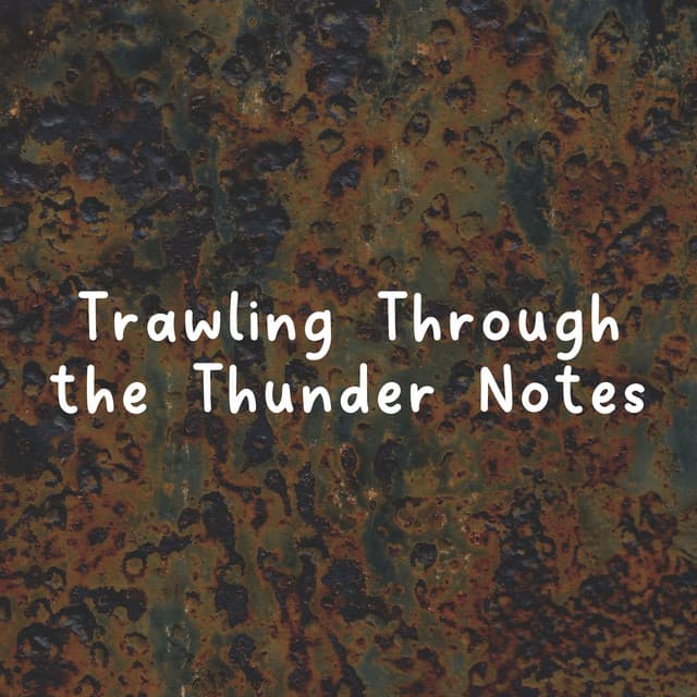 Trawling Through the Thunder Notes - Rainfall Meditations