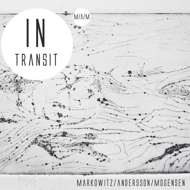 In Transit - Phil Markowitz