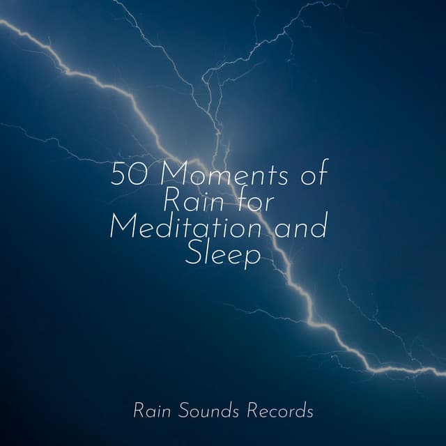 50 Moments of Rain for Meditation and Sleep - Rain Sound Studio