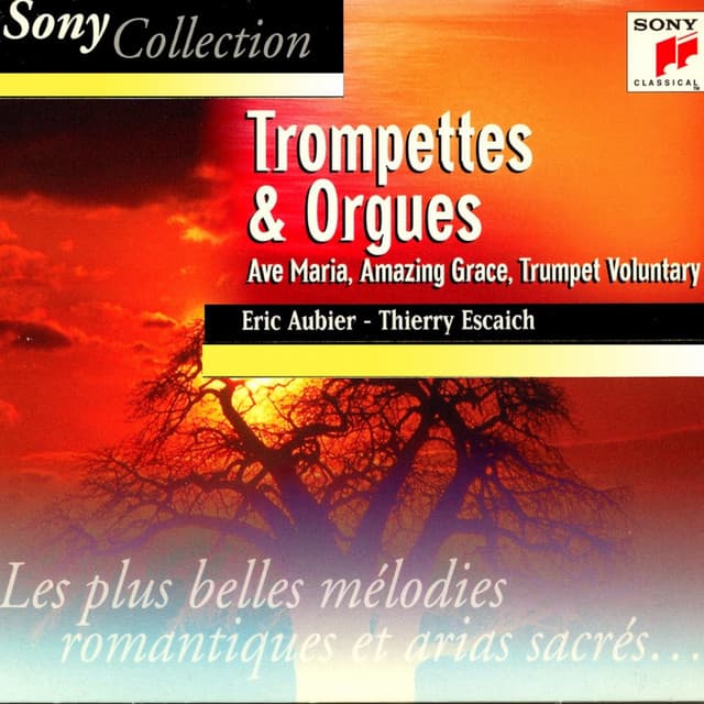 Trompettes et orgues, trumpet and organ - Eric Aubier