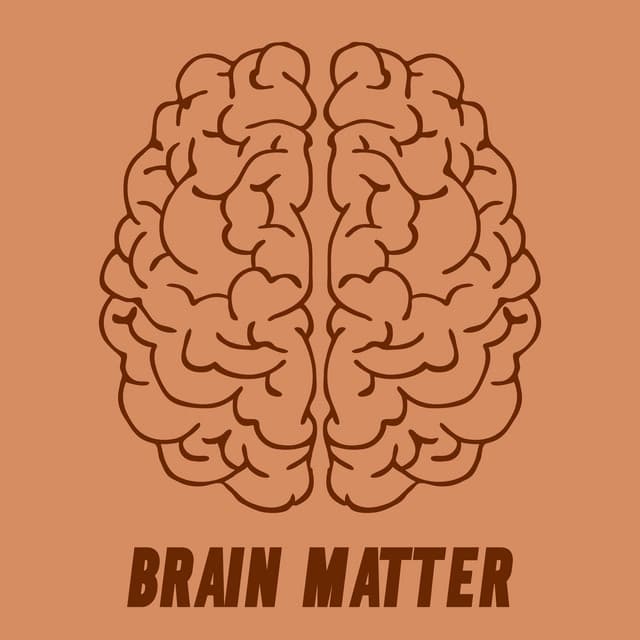 Brain Matter - Granular Brown Noise