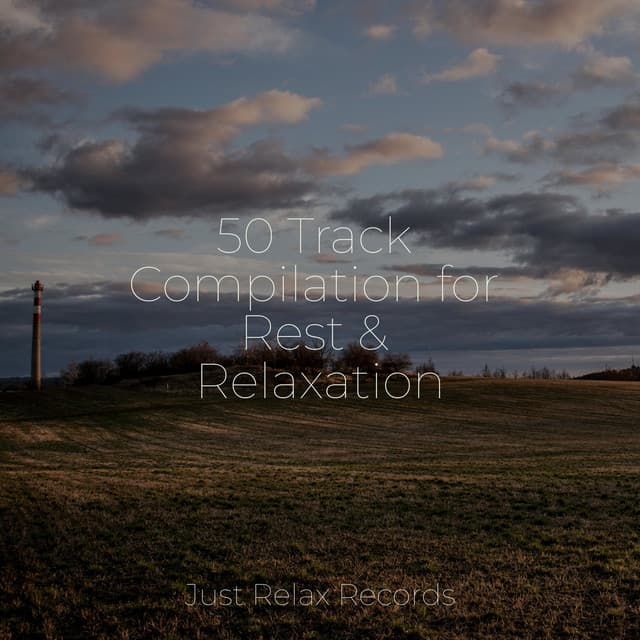 50 Track Compilation for Rest & Relaxation - Kinderliederbande