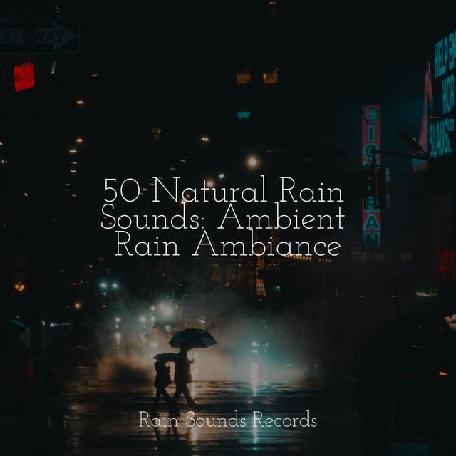 50 Natural Rain Sounds: Ambient Rain Ambiance - Study Music & Sounds