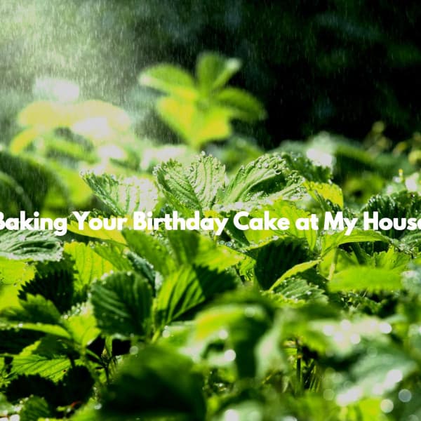 Baking Your Birthday Cake at My House - Coffee House Days