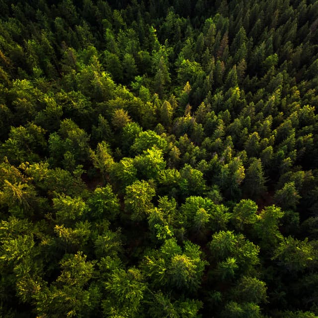 Mi Casa - Música De Relajación Para Dormir Profundamente