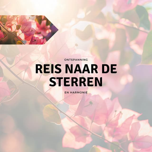 Reis naar de Sterren - Ontspanning en Harmonie