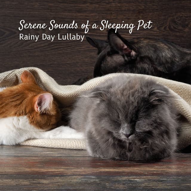 Serene Sounds of a Sleeping Pet: Rainy Day Lullaby - Pet Music World